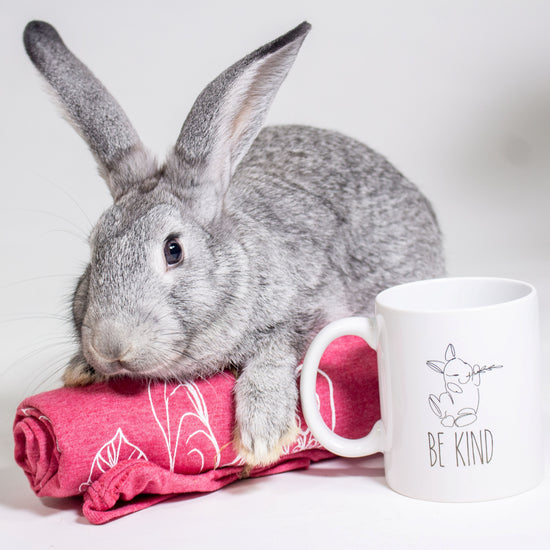 bunny with gift mug shirt