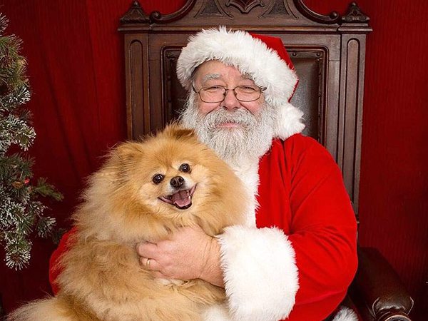 Santa with happy dog 