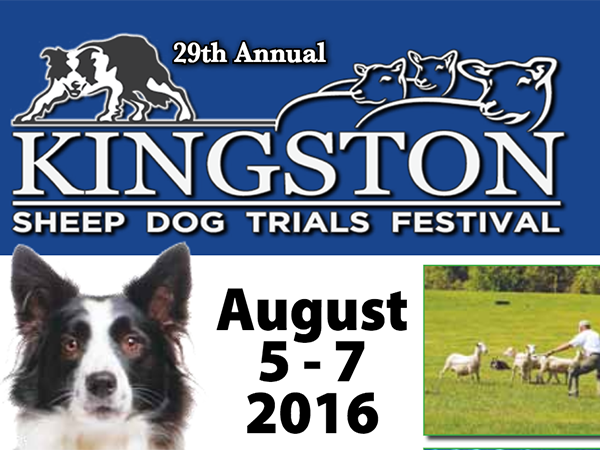 Kingston Sheep Dog Trials